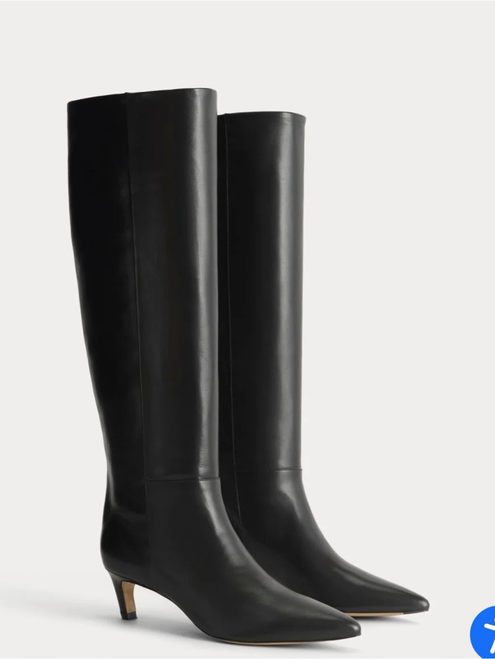Everlane Black Over-the-Knee Pointed-Toe Leather Boots